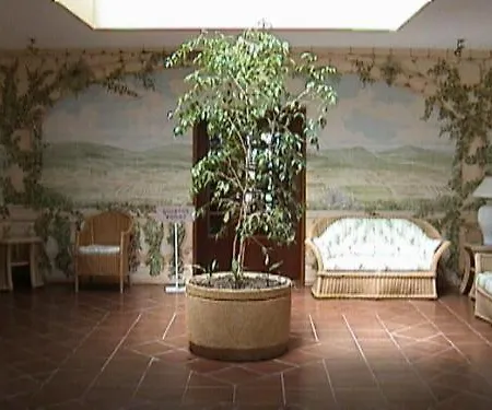 فندق Alte Hotel 3*